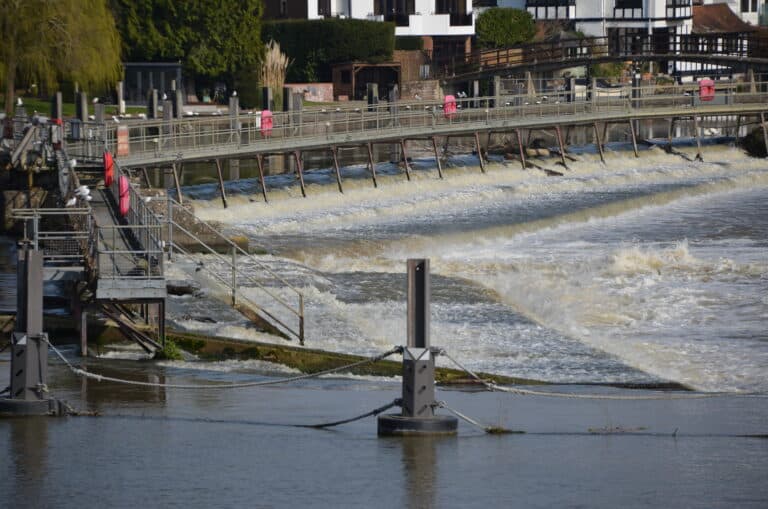 Marlow 2022 (3)