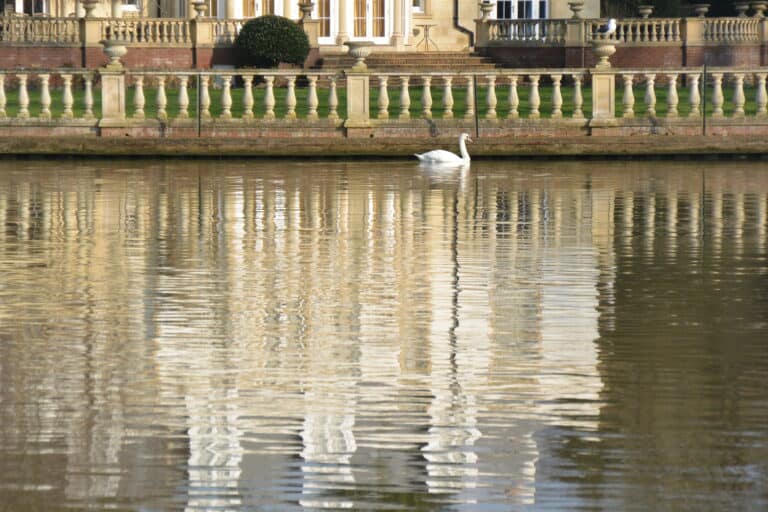 Marlow 2022 (31)