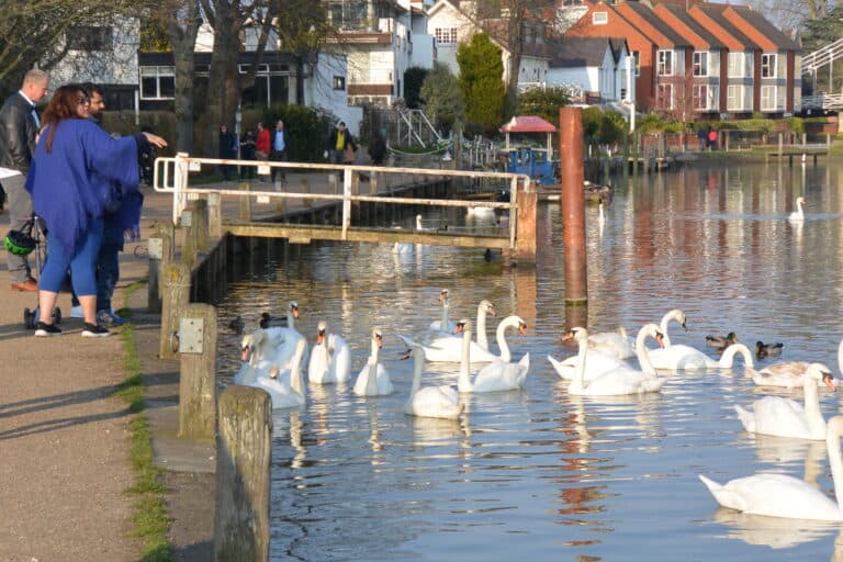 Marlow 2022 (38)