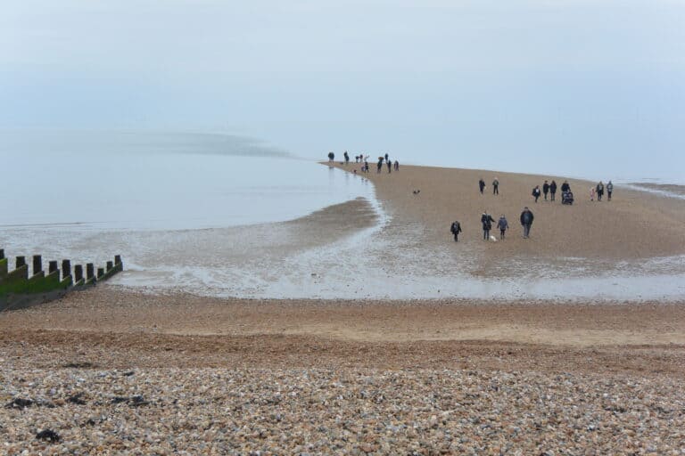 Whitstable 2022 (10)