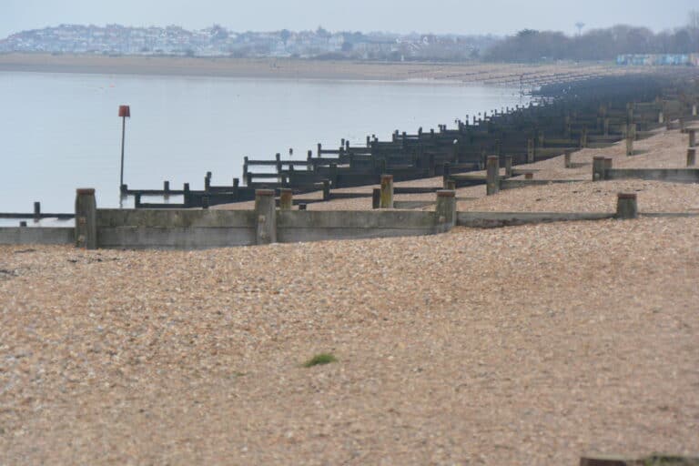 Whitstable 2022 (14)