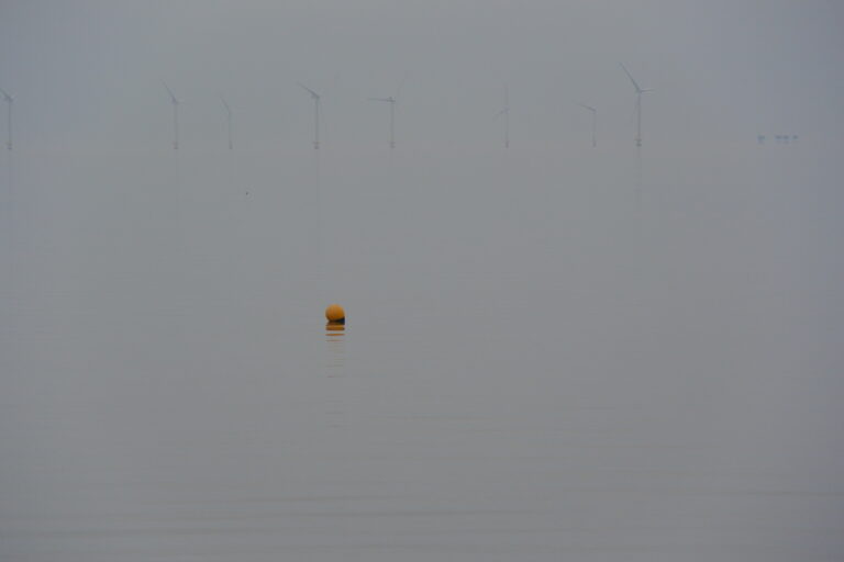 Whitstable 2022 (16)