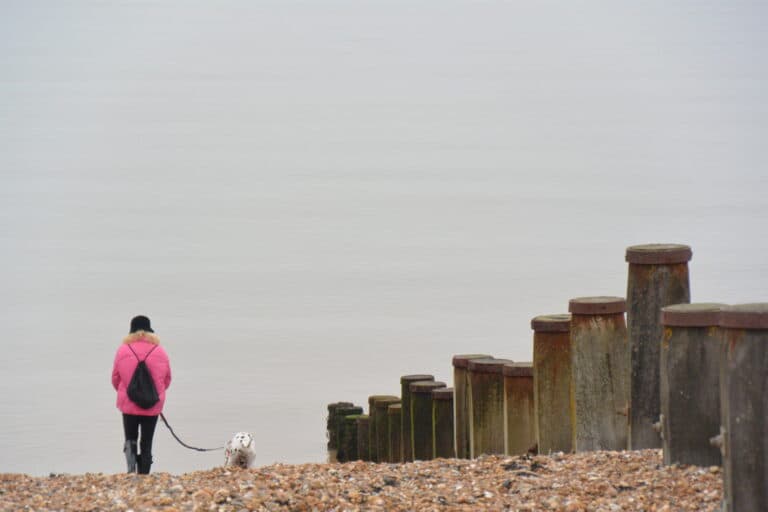 Whitstable 2022 (17)