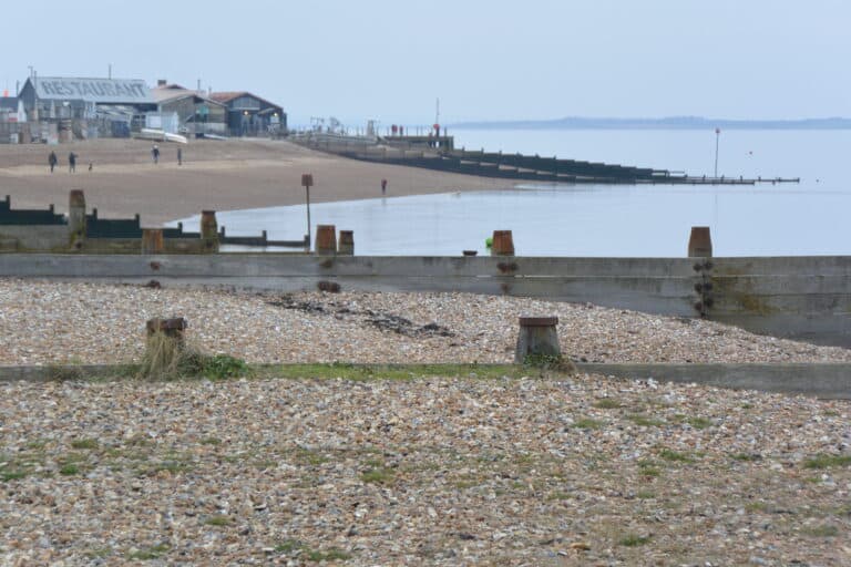 Whitstable 2022 (21)