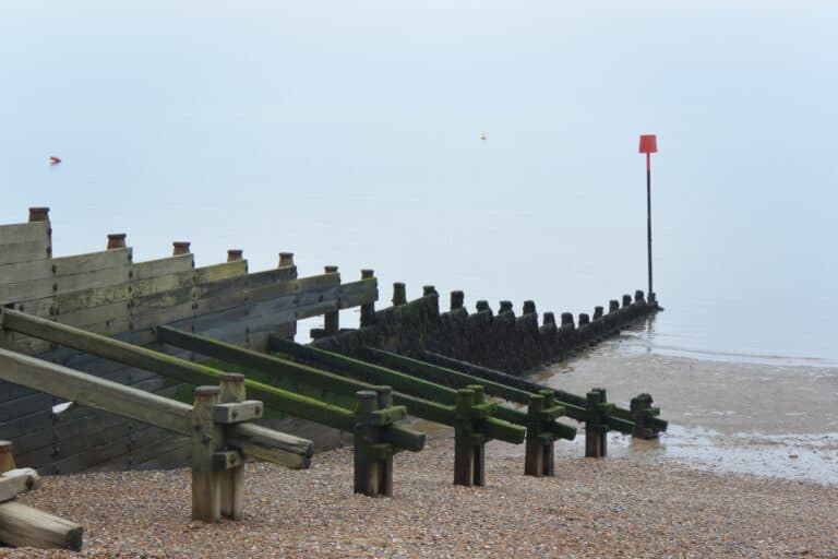 Whitstable 2022 (8)