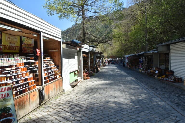 Bachkovo 2022 (1)