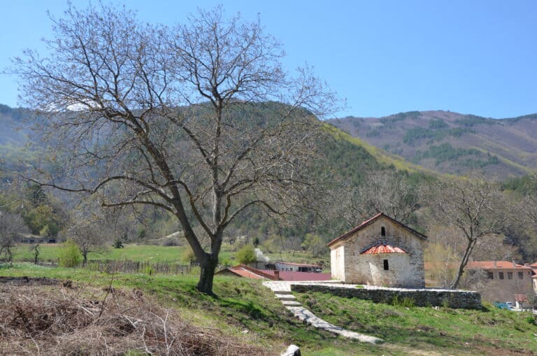 Bachkovo 2022 (32)