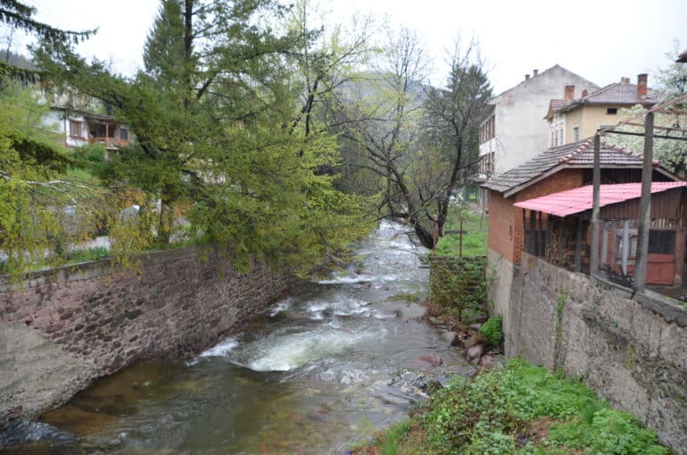 Chiprovtsi 2022 (11)