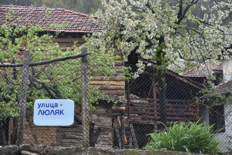 Chiprovtsi 2022 (16)
