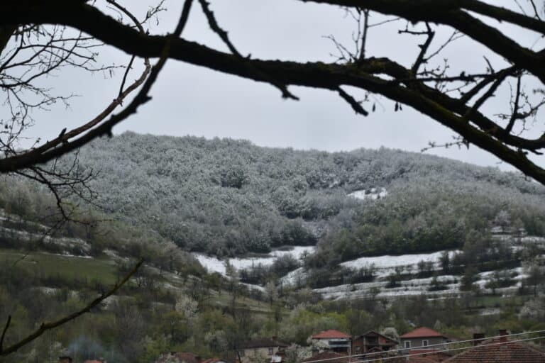 Chiprovtsi 2022 (24)