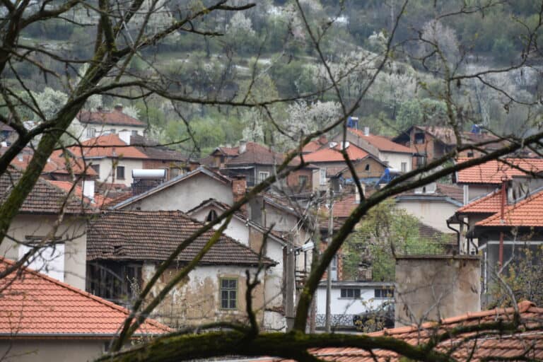 Chiprovtsi 2022 (38)