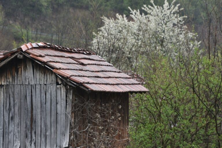 Chiprovtsi 2022 (45)