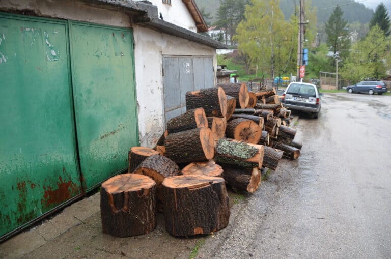 Chiprovtsi 2022 (9)