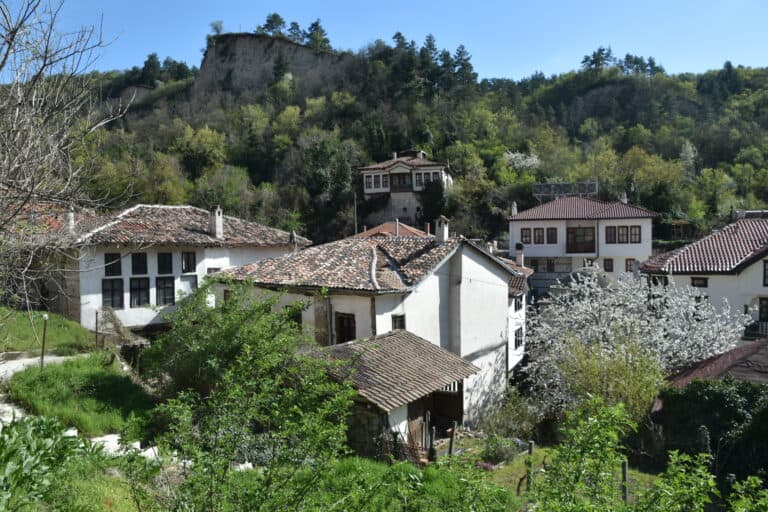 Melnik 2022 (12)
