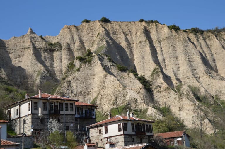 Melnik 2022 (14)
