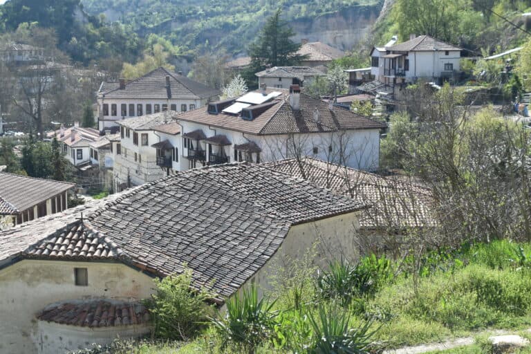 Melnik 2022 (16)