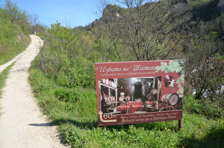 Melnik 2022 (22)