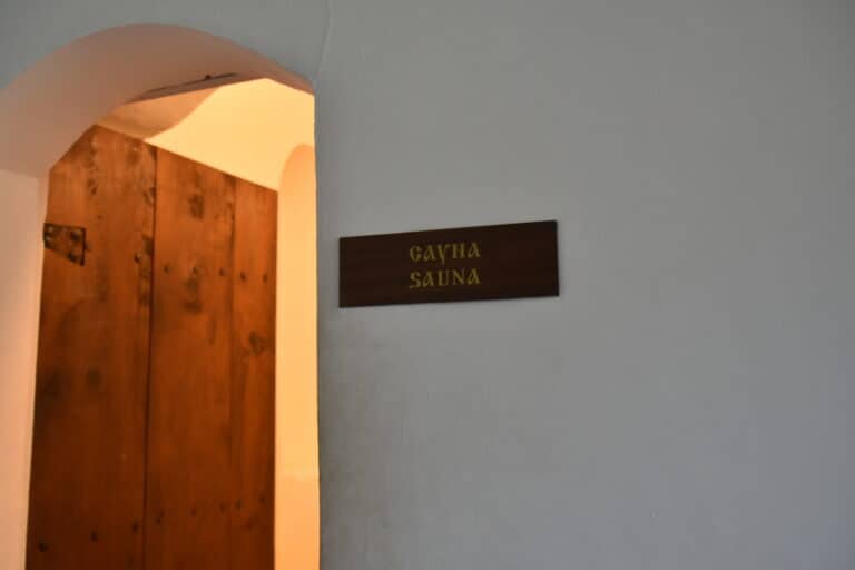 Melnik 2022 (36)