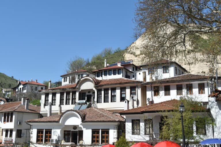 Melnik 2022 (4)