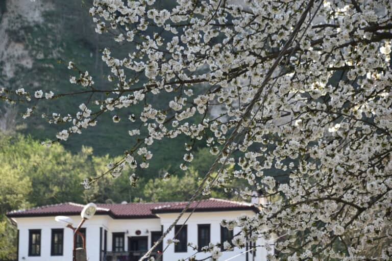 Una passeggiata nel villaggio di Melnik