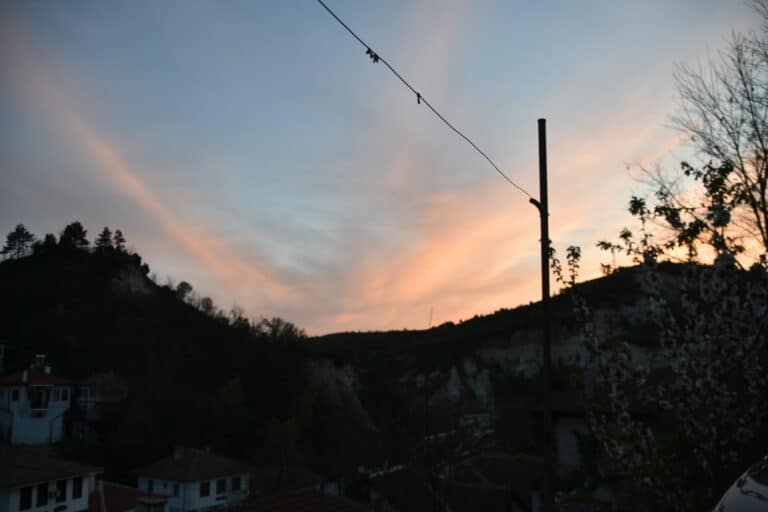 Melnik 2022 (46)