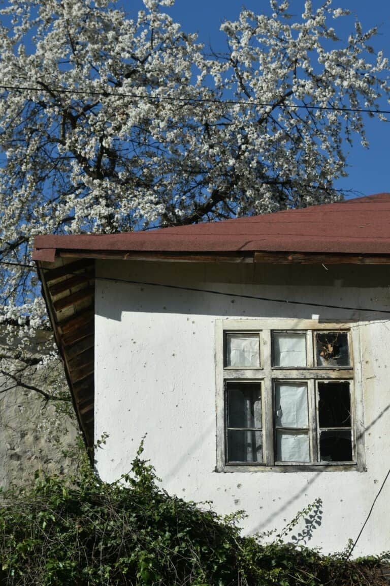 Melnik 2022 (55)