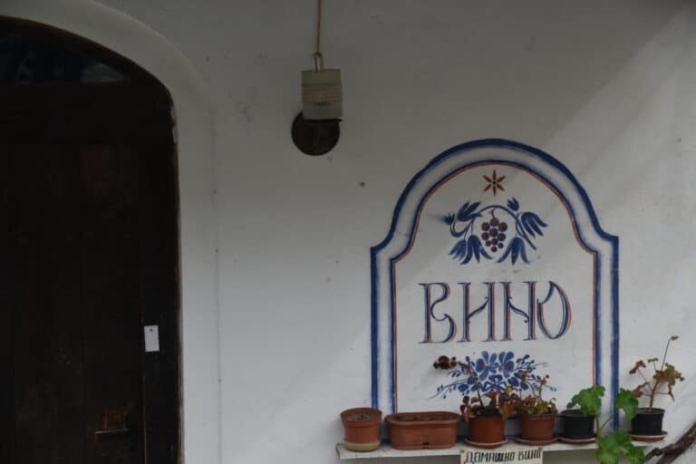 Melnik 2022 (61)