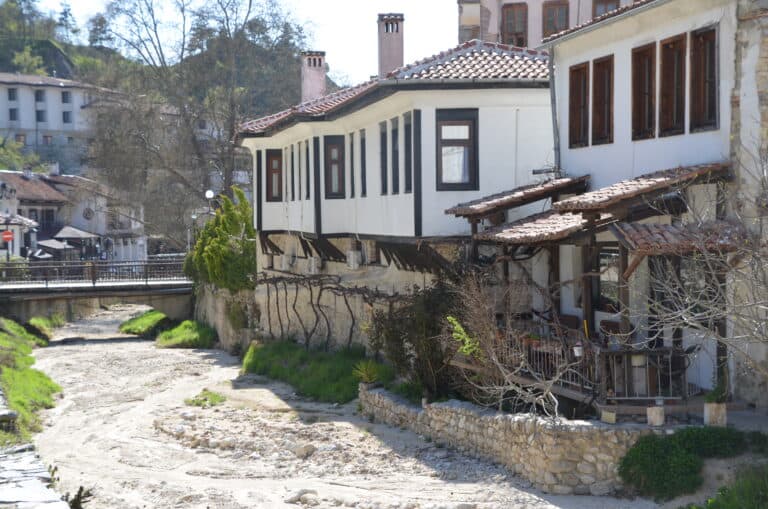 Melnik 2022 (9)