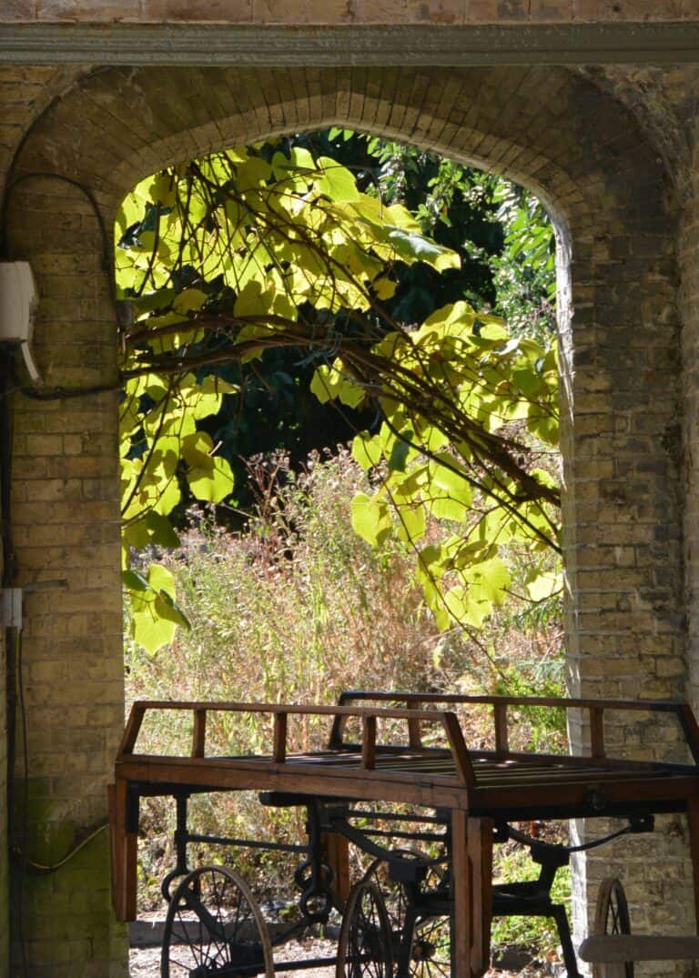 HIghgate Cemetery (17)