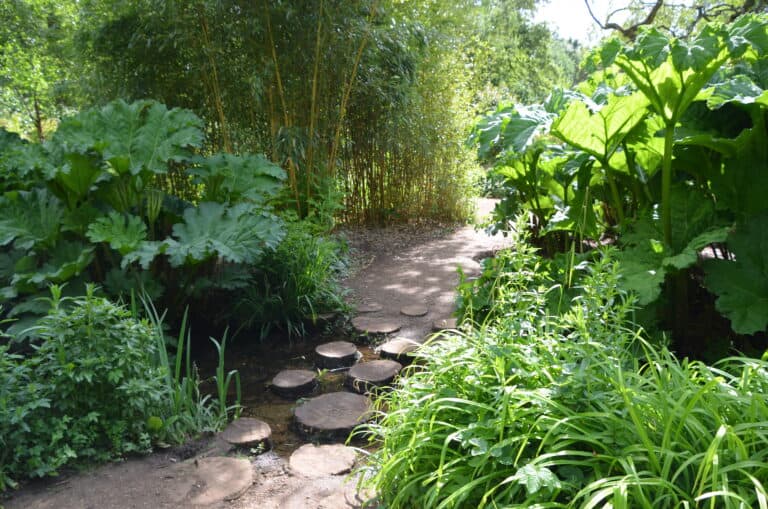 Un sentiero nel parco Isabella Plantation