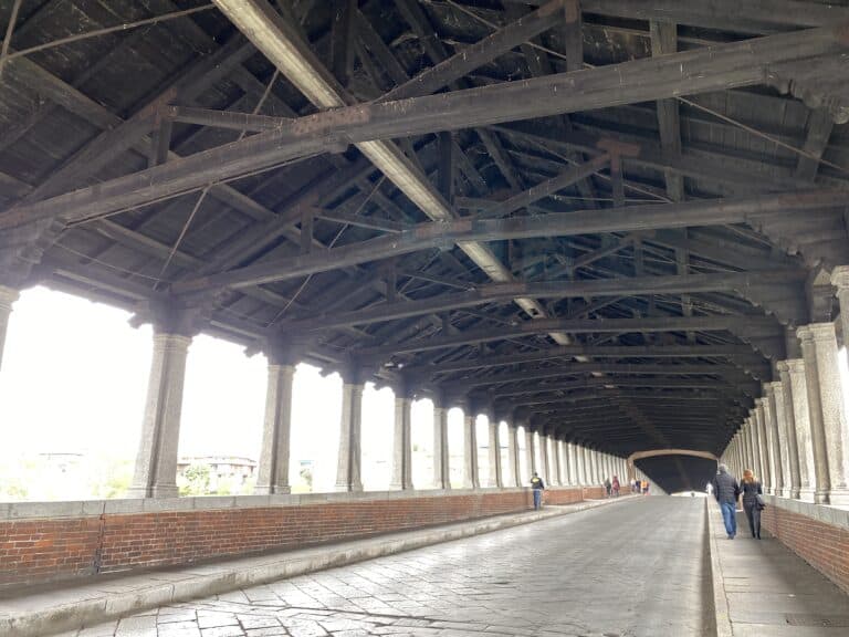 Pavia 2022 (2)