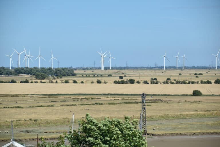 Rye 2022 (46)