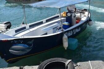 the boat for our boat trip around Syracuse