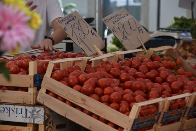 Shopping at the market