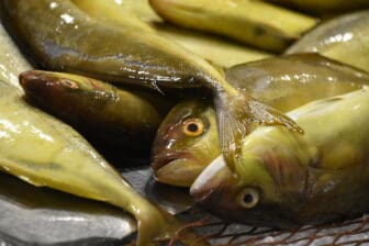 シラクサの市場で売られていた魚