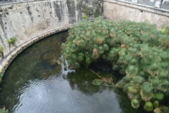 シラクサのオルティージャ島にある伝説のアレトゥーサの泉
