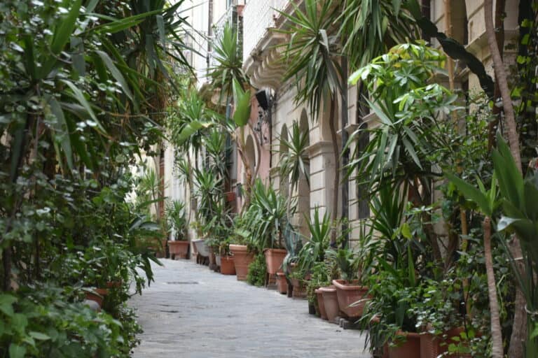 Siracusa 2022 (64)