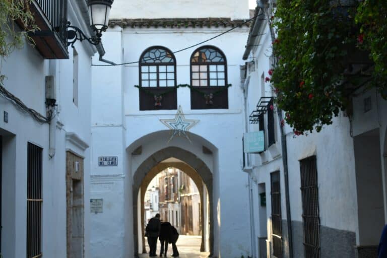 Zafra 2022 (15)