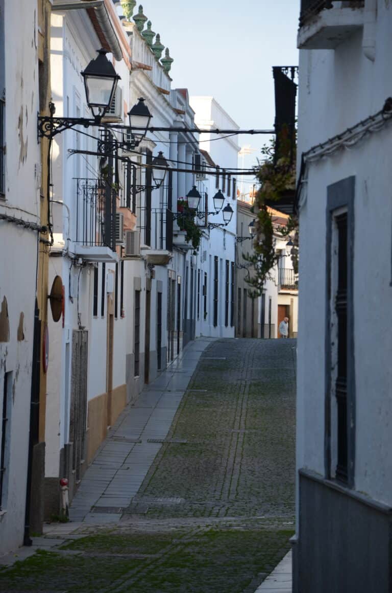 Zafra 2022 (2)