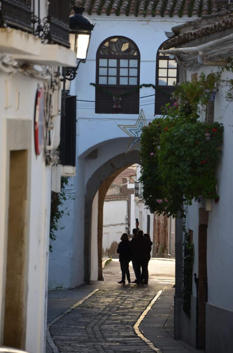 Zafra 2022 (3)