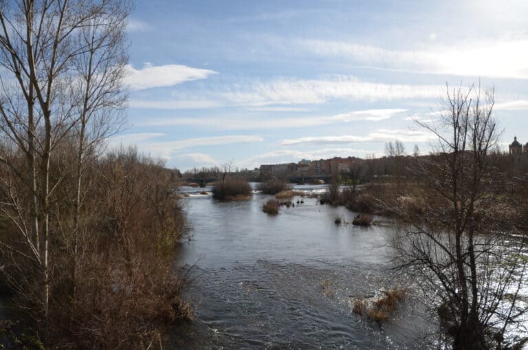 Salamanca 2023 (1)