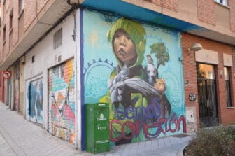 street art in Salamanca, Spain：the work of the artist called El Nino de Pinturas 