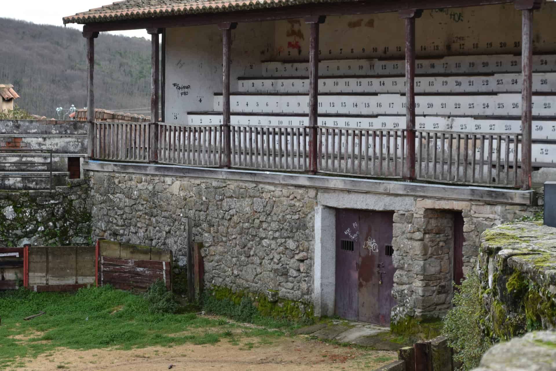 San Martin del Castanar 2023 (13)