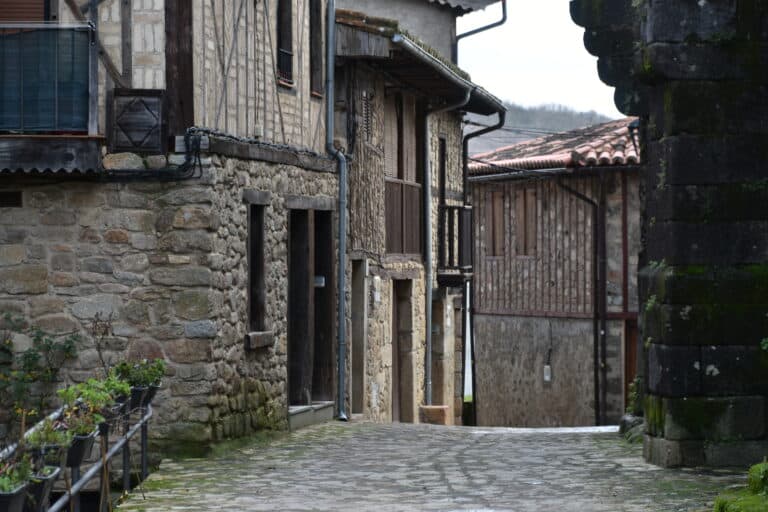 San Martin del Castanar 2023 (2)
