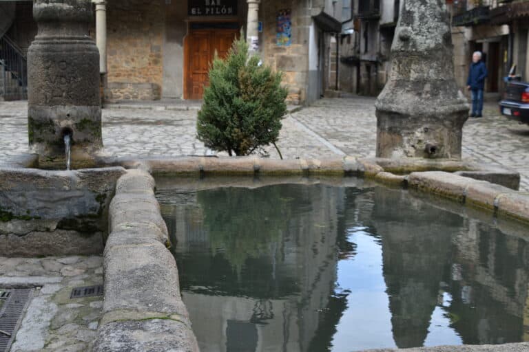 San Martin del Castanar 2023 (8)