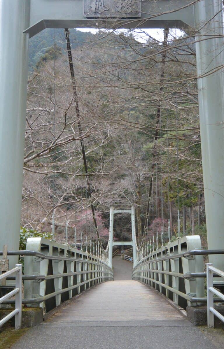 Sawanoi 2023 (2)