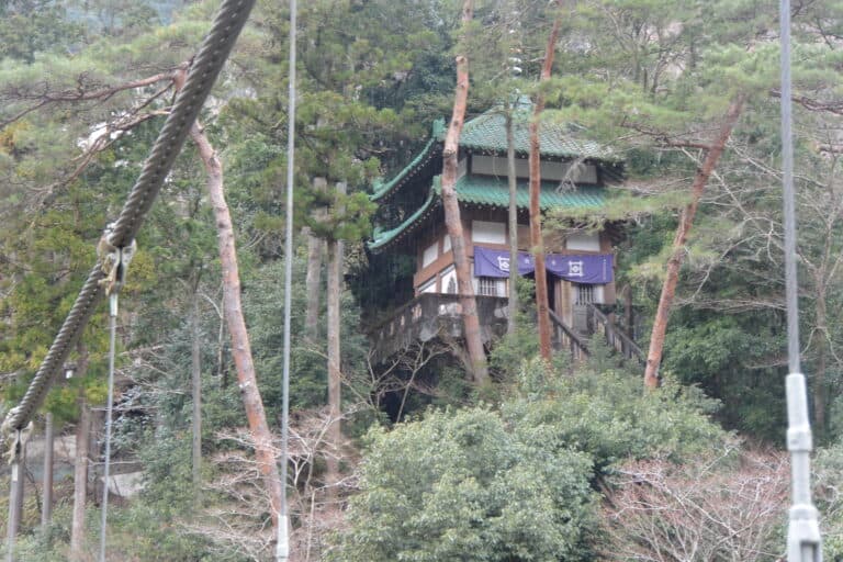 Sawanoi 2023 (3)