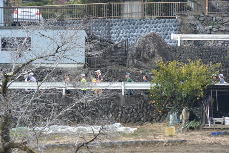 Sawanoi 2023 (8)