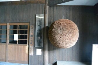 the cedar ball hang at the sake brewery in Ome, Tokyo