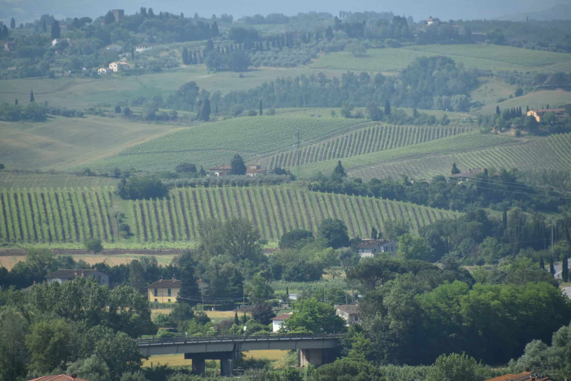 Castelfiorentino 2023 (4)